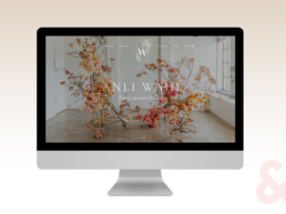 Anli Wahl website
