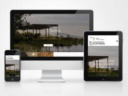 Drie Fonteine website